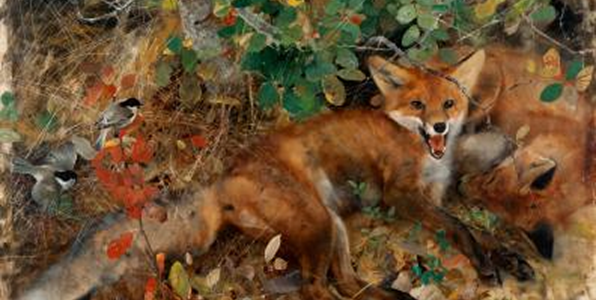 Week-ends en famille - Saison 25